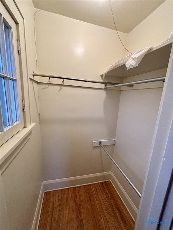 spacious closet featuring dark wood-type flooring