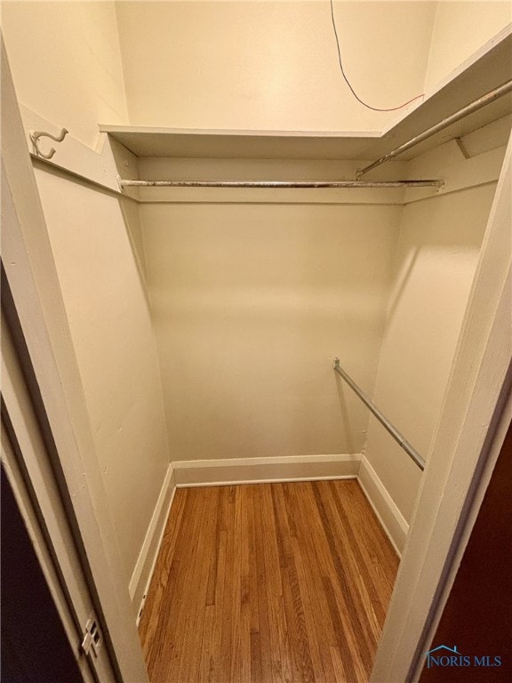 walk in closet with wood-type flooring