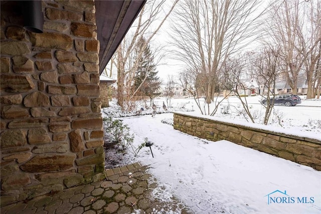 view of snowy yard