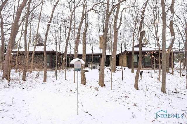 view of yard layered in snow