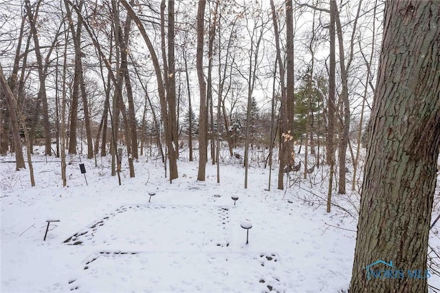 view of snowy landscape