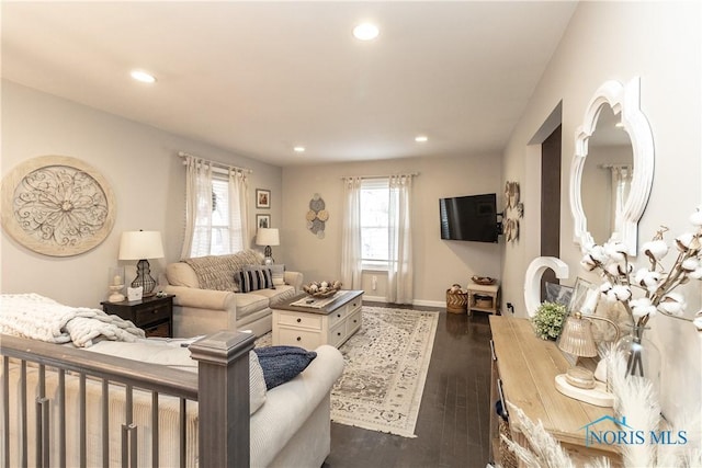 living room featuring dark hardwood / wood-style flooring