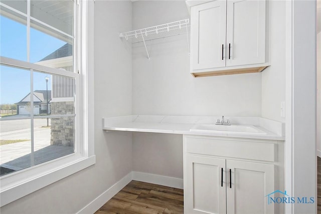 clothes washing area featuring dark hardwood / wood-style flooring and sink