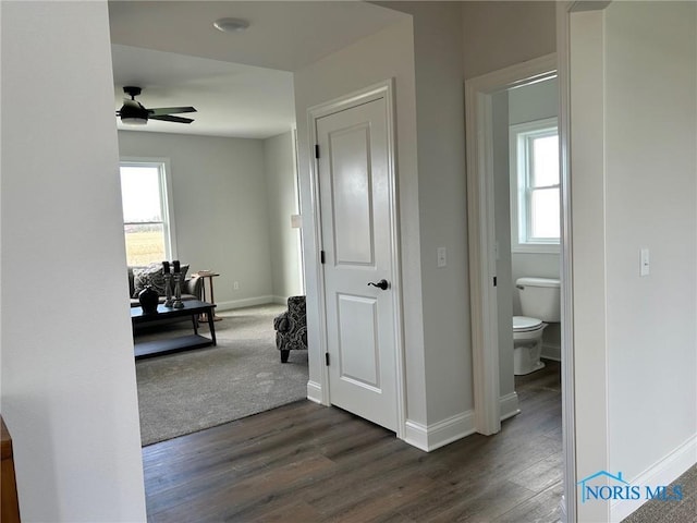 hallway with dark hardwood / wood-style flooring