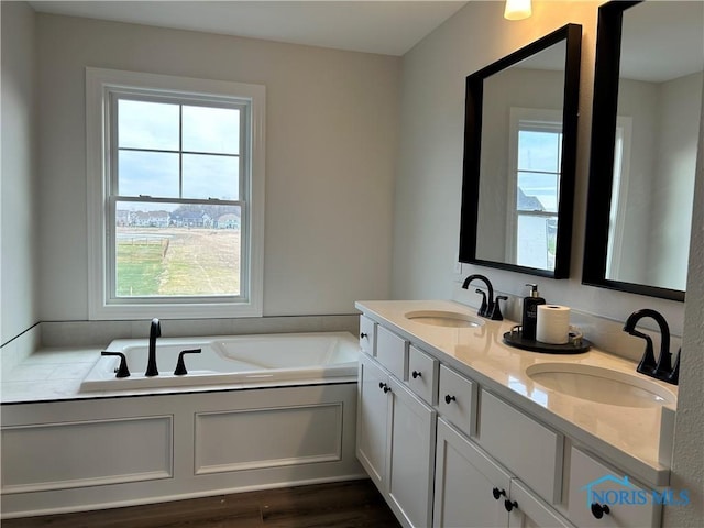 bathroom with a tub, vanity, and a wealth of natural light