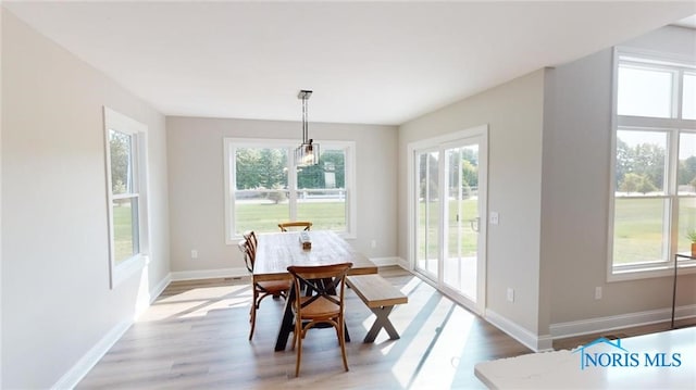 dining area with light hardwood / wood-style flooring