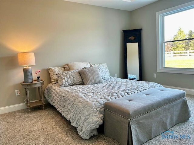 bedroom featuring carpet flooring