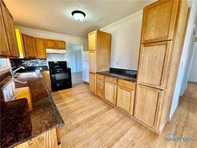 kitchen featuring electric range, white refrigerator, dark stone counters, and sink