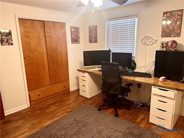 office space featuring dark hardwood / wood-style flooring and ceiling fan