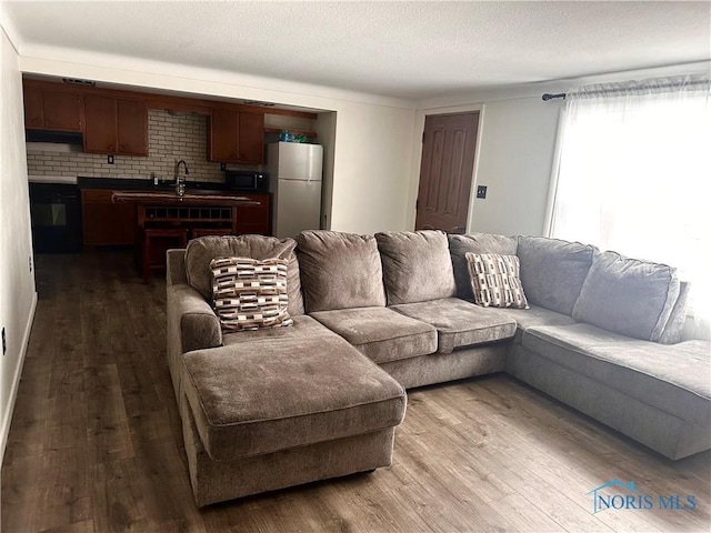 living room featuring hardwood / wood-style floors and sink