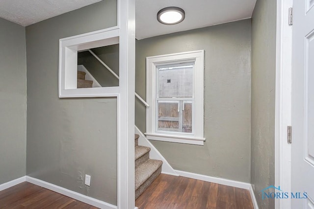 stairway with wood-type flooring