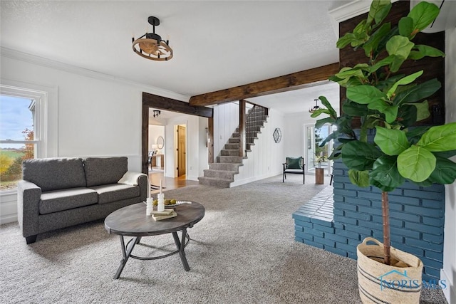 carpeted living room featuring beamed ceiling and ornamental molding