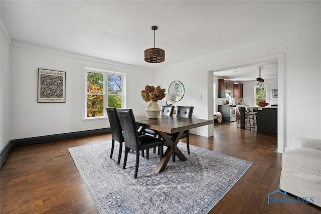 dining room with crown molding and dark wood-type flooring