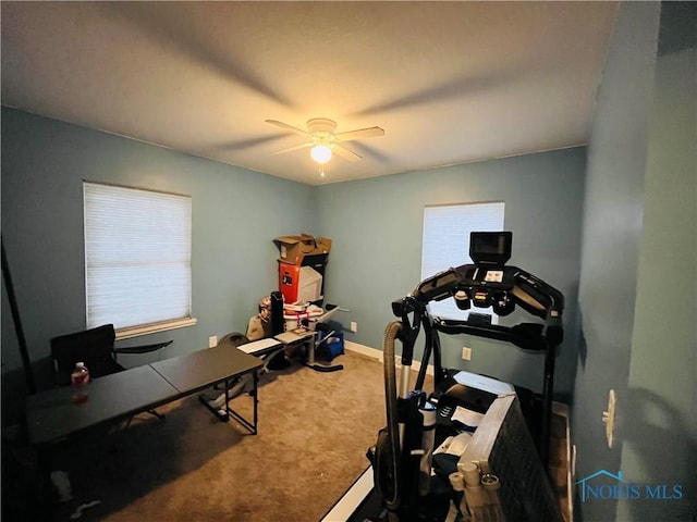 home office featuring carpet flooring and ceiling fan