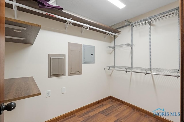 spacious closet with electric panel and dark hardwood / wood-style floors