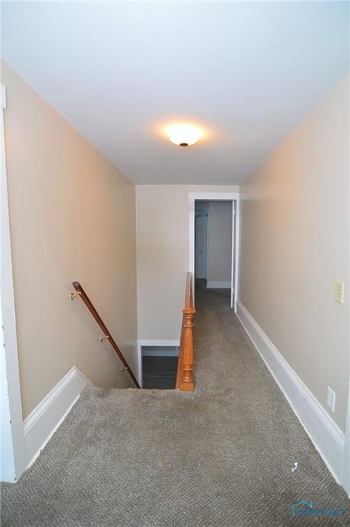 stairs featuring carpet floors