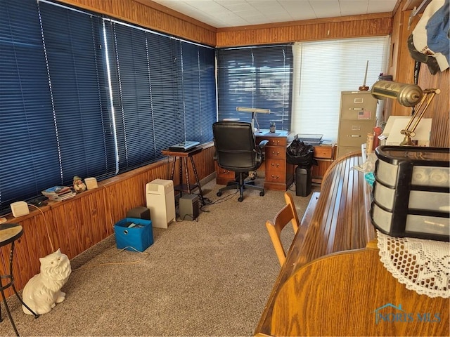 carpeted office space with wooden walls