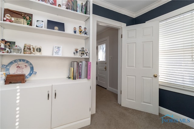 interior space with light colored carpet and crown molding