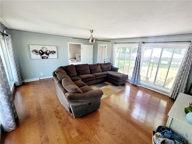 living room featuring ceiling fan and hardwood / wood-style flooring