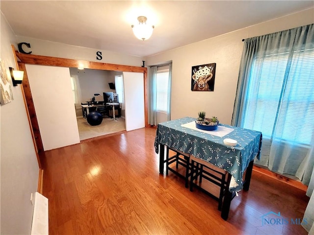 dining room with hardwood / wood-style flooring