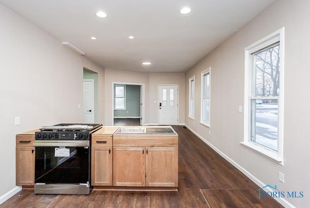 kitchen with dark hardwood / wood-style floors and range with gas stovetop