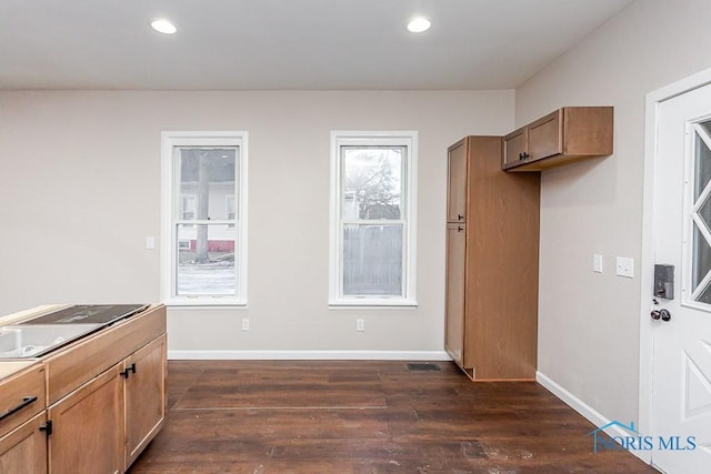 kitchen with dark wood-type flooring