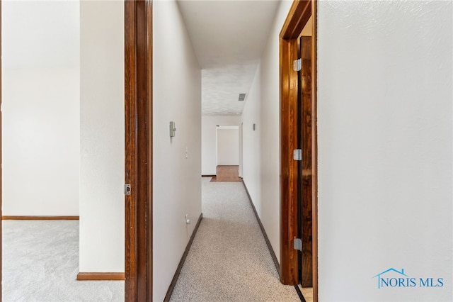 corridor with light colored carpet