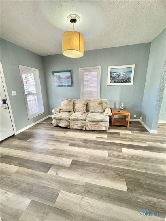 living room featuring wood-type flooring and a textured ceiling