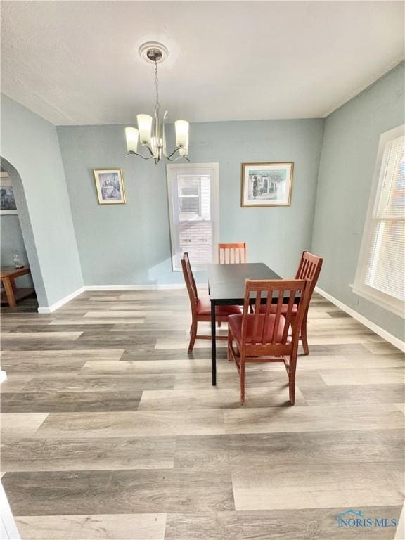 dining room with wood-type flooring and a notable chandelier