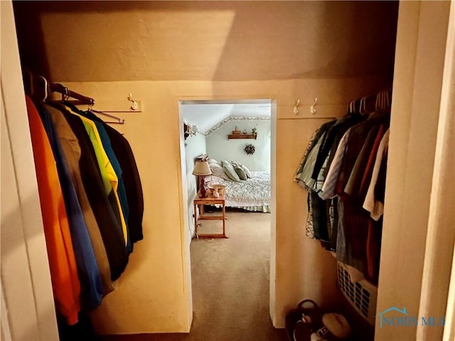 spacious closet featuring carpet flooring