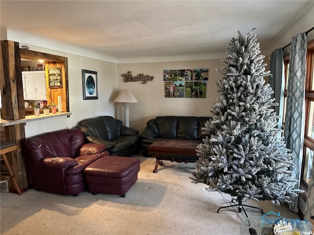 living room featuring carpet flooring