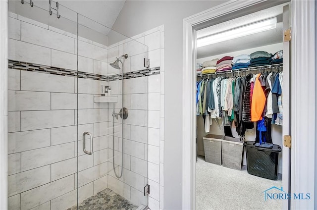 bathroom with vaulted ceiling and a shower with shower door