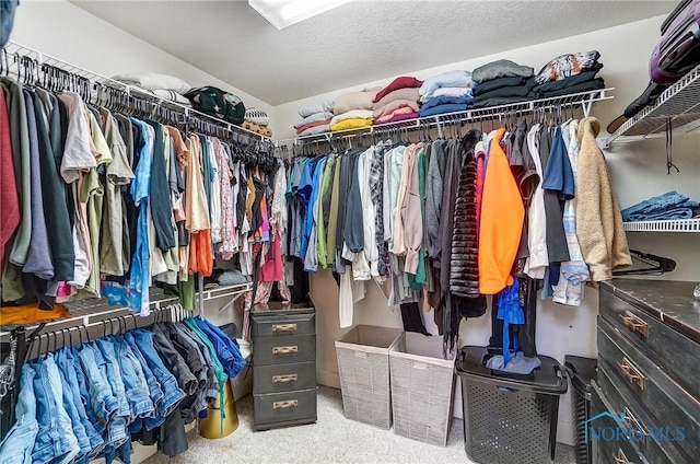 spacious closet featuring carpet flooring