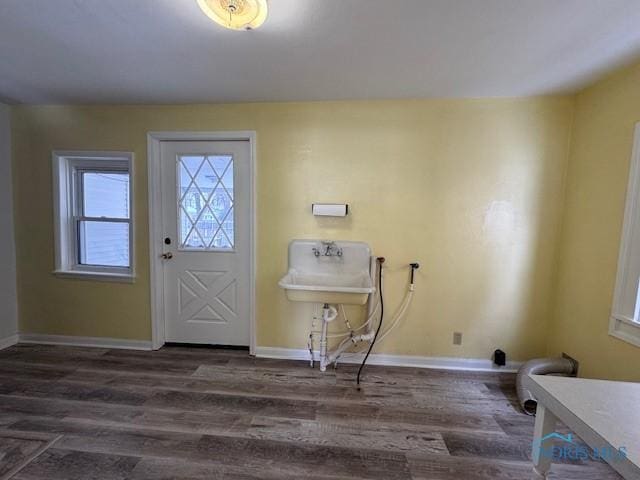 foyer entrance featuring dark wood-type flooring