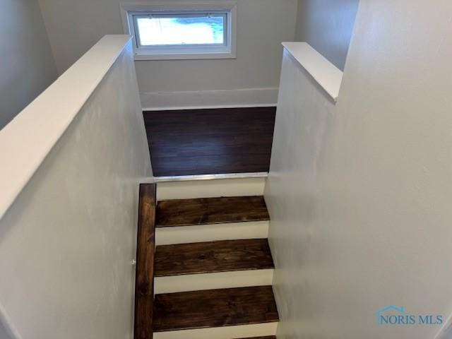 stairway featuring wood-type flooring