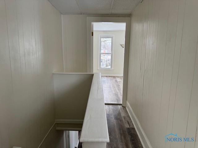 corridor featuring a paneled ceiling, wooden walls, and dark wood-type flooring