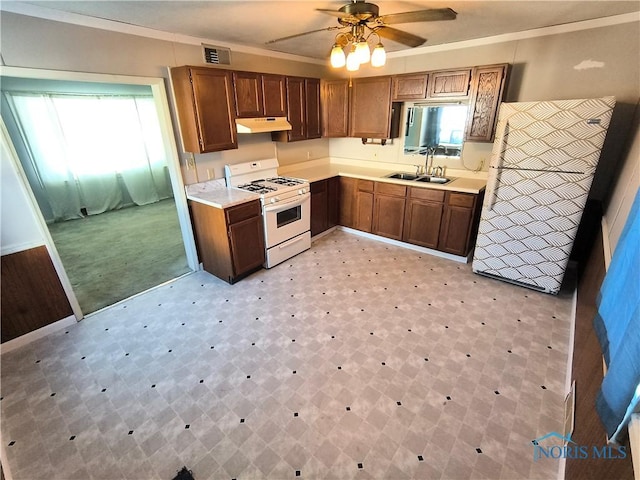 kitchen featuring crown molding, sink, ceiling fan, a healthy amount of sunlight, and white range oven