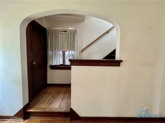 staircase with hardwood / wood-style flooring