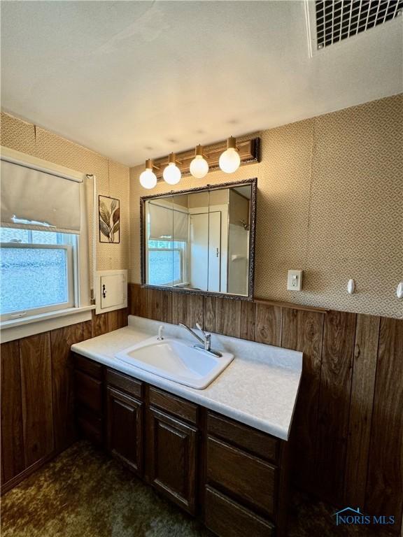 bathroom with wooden walls and vanity