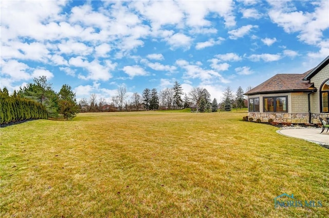 view of yard featuring a patio