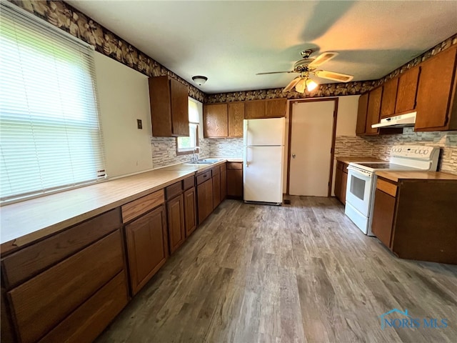 kitchen featuring ceiling fan, sink, light hardwood / wood-style flooring, white refrigerator, and stove