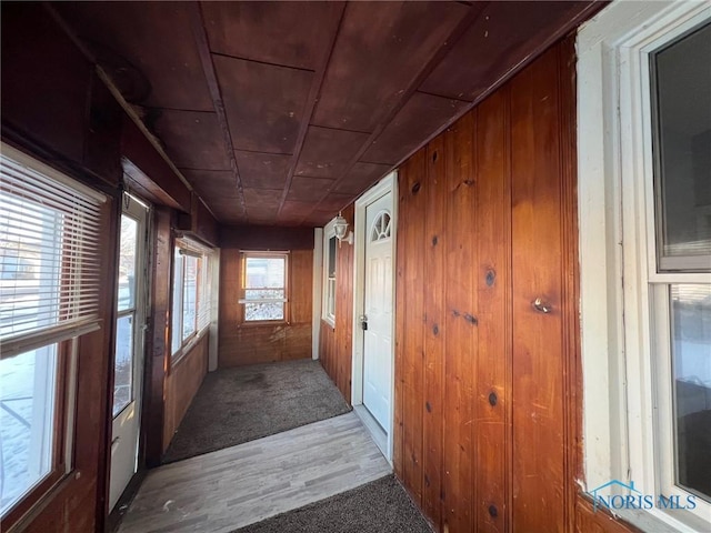 corridor with carpet flooring, wood ceiling, and wood walls