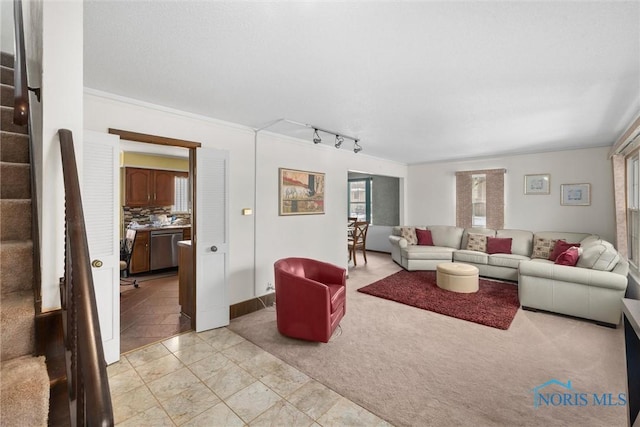 living room with crown molding, rail lighting, and light colored carpet