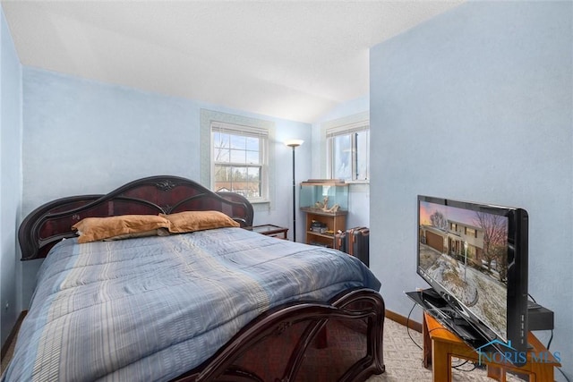 bedroom featuring lofted ceiling