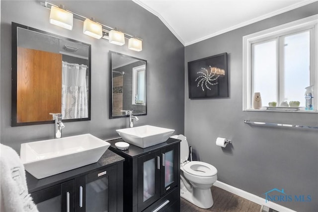 bathroom featuring walk in shower, ornamental molding, vanity, hardwood / wood-style floors, and toilet