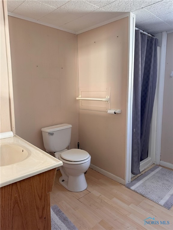 bathroom featuring wood-type flooring, vanity, toilet, and curtained shower