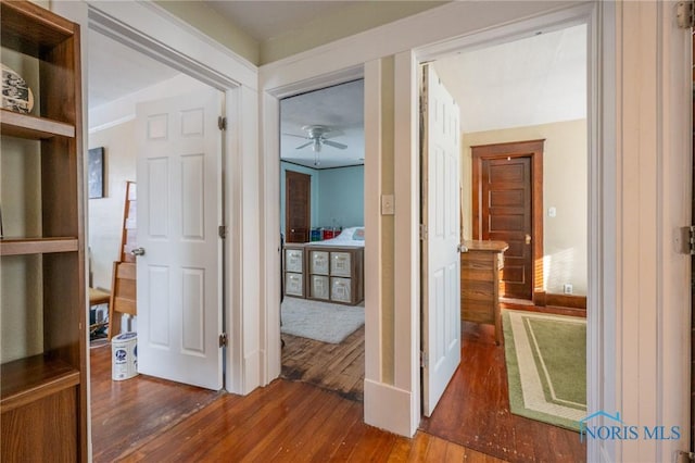 hallway with dark hardwood / wood-style floors