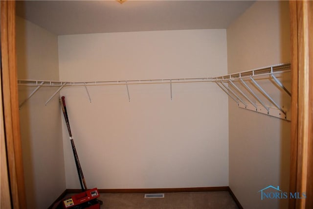 walk in closet featuring carpet