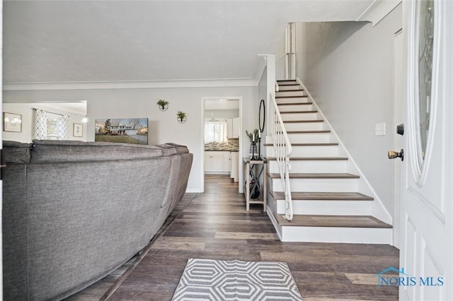 entrance foyer with a wealth of natural light, crown molding, and dark wood-type flooring