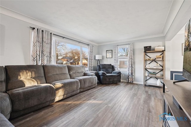 living room featuring crown molding and hardwood / wood-style floors